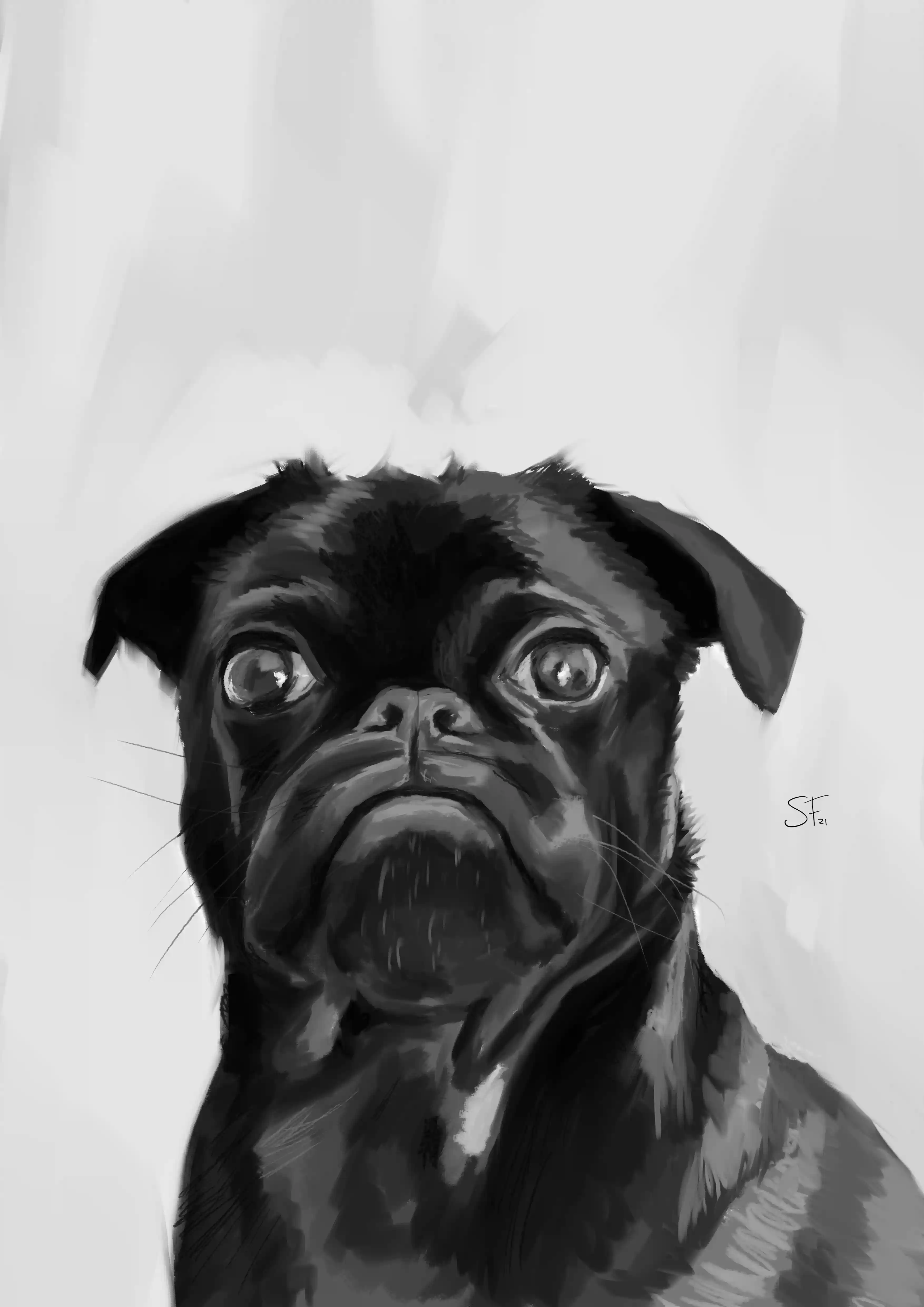 Pug Life